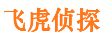 大东出轨调查